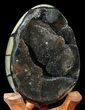 Septarian Dragon Egg Geode - Crystal Filled #40901-1